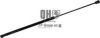 JP GROUP 4381201809 Gas Spring, boot-/cargo area